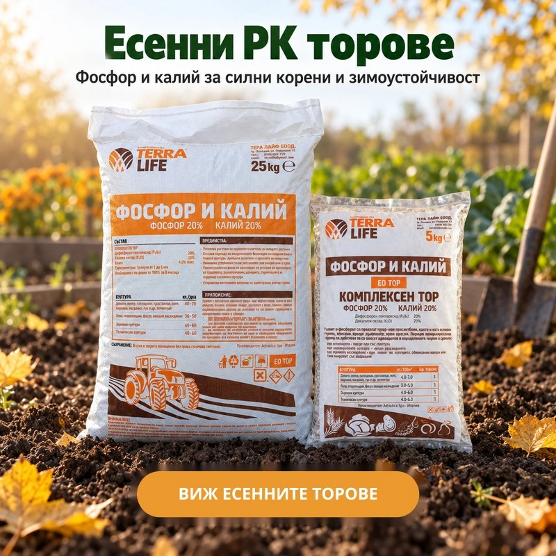 Есенни PK торове