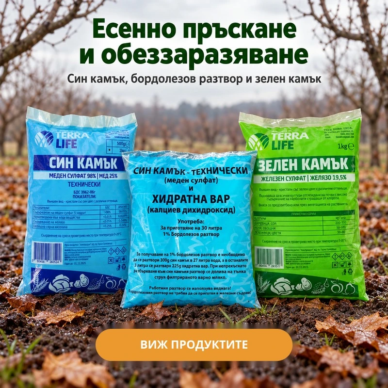 Есенно пръскане и обеззаразяване