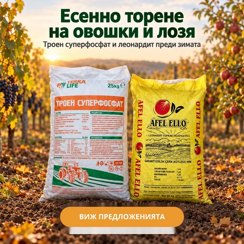 Есенно торене на овошки и лозя